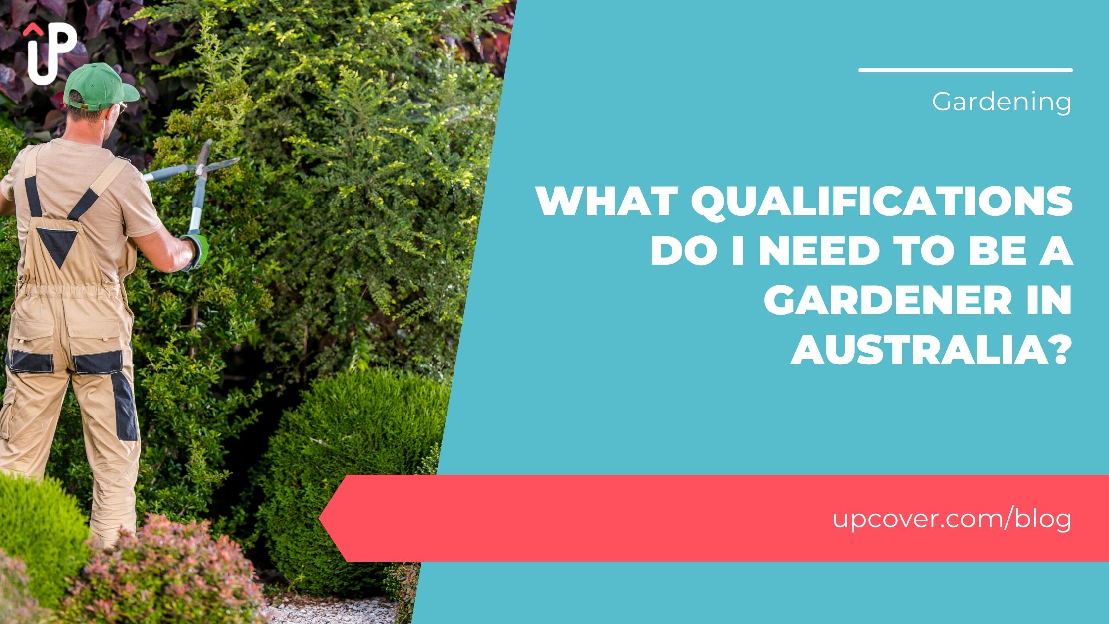 What Qualifications Do I Need To Be A Gardener In Australia? upcover Blog